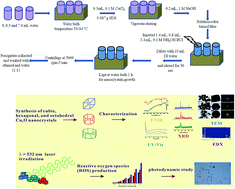 Graphical abstract: Shape-oriented photodynamic therapy of cuprous oxide (Cu2O) nanocrystals for cancer treatment