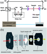 Graphical abstract: Label-free detection of anti-estrogen receptor alpha and its binding with estrogen receptor peptide alpha by terahertz spectroscopy