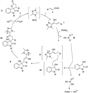 Graphical abstract: N-Heterocyclic carbene-catalyzed oxidative [3 + 2] annulation of dioxindoles and enals: cross coupling of homoenolate and enolate