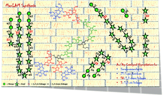 Graphical abstract: Expedient synthesis of the heneicosasaccharyl mannose capped arabinomannan of the Mycobacterium tuberculosis cellular envelope by glycosyl carbonate donors