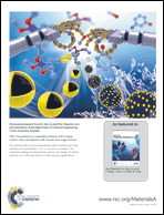 Graphical abstract: Back cover