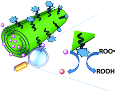 Graphical abstract: A synergic nanoantioxidant based on covalently modified halloysite–trolox nanotubes with intra-lumen loaded quercetin