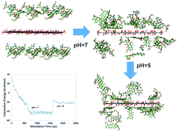 Graphical abstract: Molecular simulation of pH-dependent diffusion, loading, and release of doxorubicin in graphene and graphene oxide drug delivery systems