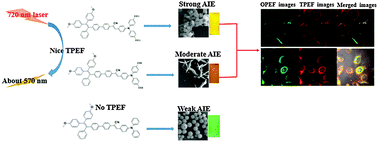 Graphical abstract: D–A–D type chromophores with aggregation-induced emission and two-photon absorption: synthesis, optical characteristics and cell imaging