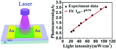 Graphical abstract: Preparation of large scale and highly ordered vanadium pentoxide (V2O5) nanowire arrays towards high performance photodetectors