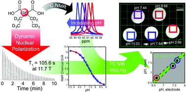 Graphical abstract: Dicarboxylic acids as pH sensors for hyperpolarized 13C magnetic resonance spectroscopic imaging