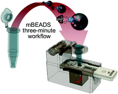 Graphical abstract: Magnetically-enabled biomarker extraction and delivery system: towards integrated ASSURED diagnostic tools