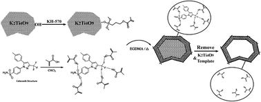Graphical abstract: Application of hollow porous molecularly imprinted polymers using K2Ti4O9 coupled with SPE-HPLC for the determination of celecoxib in human urine samples: optimization by central composite design (CCD)