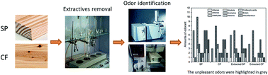 Graphical abstract: Identification of odorous constituents of southern yellow pine and China fir wood: the effects of extractive removal