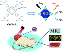 Graphical abstract: MRI-guided tumor chemo-photodynamic therapy with Gd/Pt bifunctionalized porphyrin