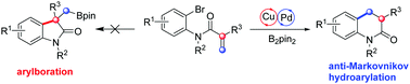 Graphical abstract: Cu/Pd cooperatively catalyzed tandem intramolecular anti-Markovnikov hydroarylation of unsaturated amides: facile construction of 3,4-dihydroquinolinones via borylation/intramolecular C(sp3)–C(sp2) cross coupling