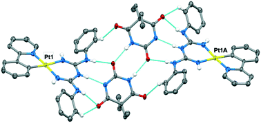 Graphical abstract: Cyclometallated platinum(ii) and palladium(ii) complexes containing 1,5-diarylbiguanides: synthesis, characterisation and hydrogen bond-directed assembly