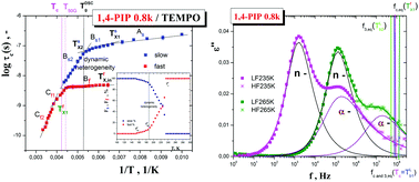 Graphical abstract: Molecular dynamic heterogeneity in relation to free volume and relaxation dynamics in organic glass-formers: oligomeric cis-1,4-poly(isoprene)