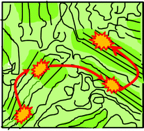 Graphical abstract: Tuning crystalline ordering by annealing and additives to study its effect on exciton diffusion in a polyalkylthiophene copolymer