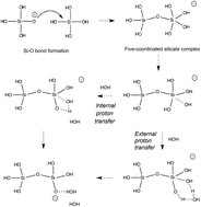 Graphical abstract: Rare event simulations reveal subtle key steps in aqueous silicate condensation