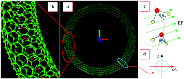 Graphical abstract: Molecular dynamics simulations of electric field induced water flow inside a carbon nanotorus: a molecular cyclotron