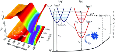 Graphical abstract: Electronic relaxation pathways of the biologically relevant pterin chromophore