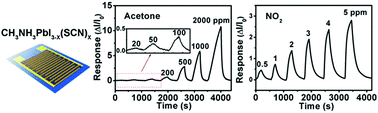 Graphical abstract: High-performance gas sensors based on a thiocyanate ion-doped organometal halide perovskite