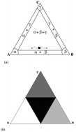 Graphical abstract: Particles with selective wetting affect spinodal decomposition microstructures