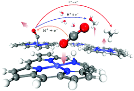 Graphical abstract: Cobalt-porphine catalyzed CO2 electro-reduction: a novel protonation mechanism