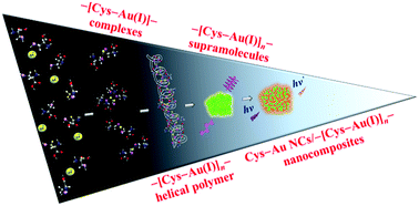 Graphical abstract: The effect of ligand–ligand interactions on the formation of photoluminescent gold nanoclusters embedded in Au(i)–thiolate supramolecules