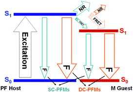 Graphical abstract: Dual-core star-shaped single white polymers: the effect of host structure on luminescence properties