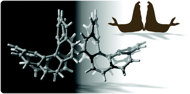 Graphical abstract: Conformational behavior and stacking interactions of contorted polycyclic aromatics