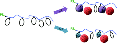 Graphical abstract: Thermodynamic analysis of alkali metal complex formation of polymer-bonded crown ether