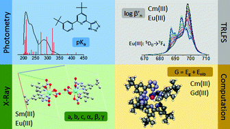 Graphical abstract: 4,4′-Di-tert-butyl-6-(1H-tetrazol-5-yl)-2,2′-bipyridine: modification of a highly selective N-donor ligand for the separation of trivalent actinides from lanthanides