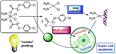 Graphical abstract: The cisplatin-based Pt(iv)-diclorofibrato multi-action anticancer prodrug exhibits excellent performances also under hypoxic conditions