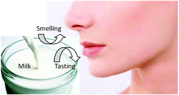 Graphical abstract: Creation and imitation of a milk flavour