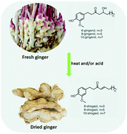 Graphical abstract: Occurrence, biological activity and metabolism of 6-shogaol