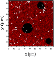 Graphical abstract: Microrheology and microstructure of water-in-water emulsions containing sodium caseinate and locust bean gum