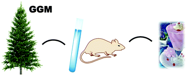 Graphical abstract: Safety considerations of plant polysaccharides for food use: a case study on phenolic-rich softwood galactoglucomannan extract