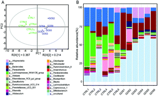 Graphical abstract: Effects of a galacto-oligosaccharide-rich diet on fecal microbiota and metabolite profiles in mice