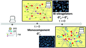 Graphical abstract: Synergistic interactions between lecithin and fruit wax in oleogel formation