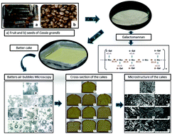 Graphical abstract: Influence of Cassia grandis galactomannan on the properties of sponge cakes: a substitute for fat