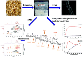 Graphical abstract: Isolation, purification, characterization and bioactivities of a glucan from the root of Pueraria lobata