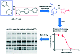 Graphical abstract: Chiral disubstituted piperidinyl ureas: a class of dual diacylglycerol lipase-α and ABHD6 inhibitors