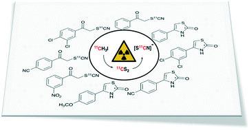 Graphical abstract: Ammonium [11C]thiocyanate: revised preparation and reactivity studies of a versatile nucleophile for carbon-11 radiolabelling