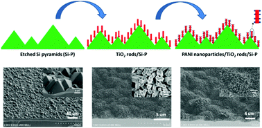 Graphical abstract: Photoactive PANI/TiO2/Si composite coatings with 3D bio-inspired structures