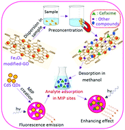 Graphical abstract: Molecularly imprinted polymers on CdS quantum dots for sensitive determination of cefixime after its preconcentration by magnetic graphene oxide