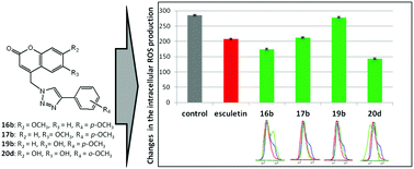 Graphical abstract: Synthesis of 4-aryl-1,2,3-triazolyl appended natural coumarin-related compounds with antiproliferative and radical scavenging activities and intracellular ROS production modification