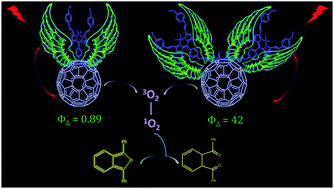 Graphical abstract: Novel distyryl BODIPY–fullerene dyads: preparation, characterization and photosensitized singlet oxygen generation efficiency
