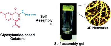 Graphical abstract: Design, synthesis, and characterisation of glyoxylamide-based short peptides as self-assembled gels
