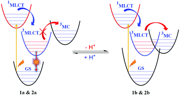 Graphical abstract: The effect of an ancillary ligand proton on the photophysical properties of some RuIIN6 cores: a proton valve