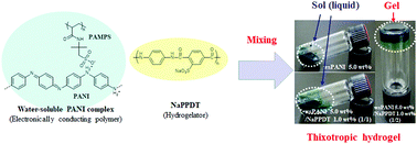 Graphical abstract: Synthesis of an electronically conductive hydrogel from a hydrogelator and a conducting polymer