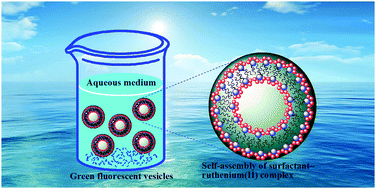 Graphical abstract: Synthesis, characterisation and self-assembly behaviour of emissive surfactant–ruthenium(ii) complexes