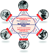 Graphical abstract: Interesting structural transformation of CdS from zinc blende into wurtzite during minuscule loading of magnetic nanoparticles: emergence of heterojunctions with enhanced photocatalytic performance