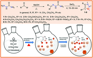 Graphical abstract: 1,2,3-Selenadiazole-driven single family MSNCs of CdSe